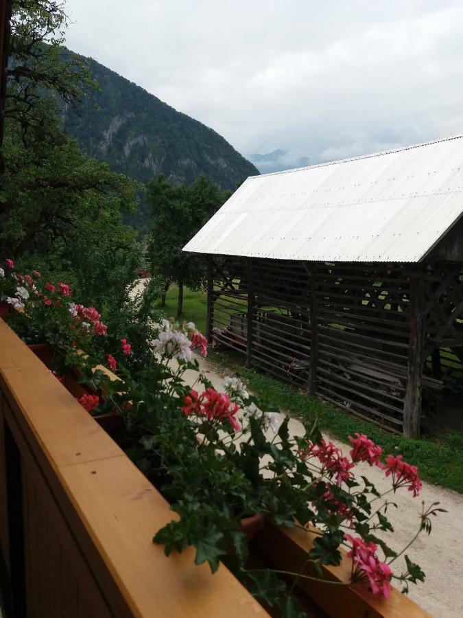 Apartma Momo Bohinj Exteriér fotografie