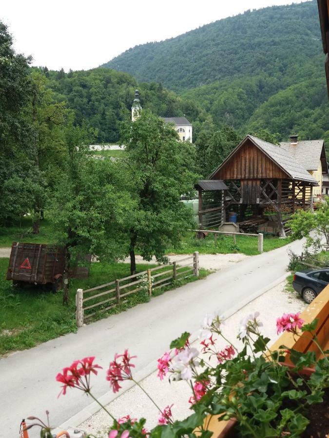 Apartma Momo Bohinj Exteriér fotografie